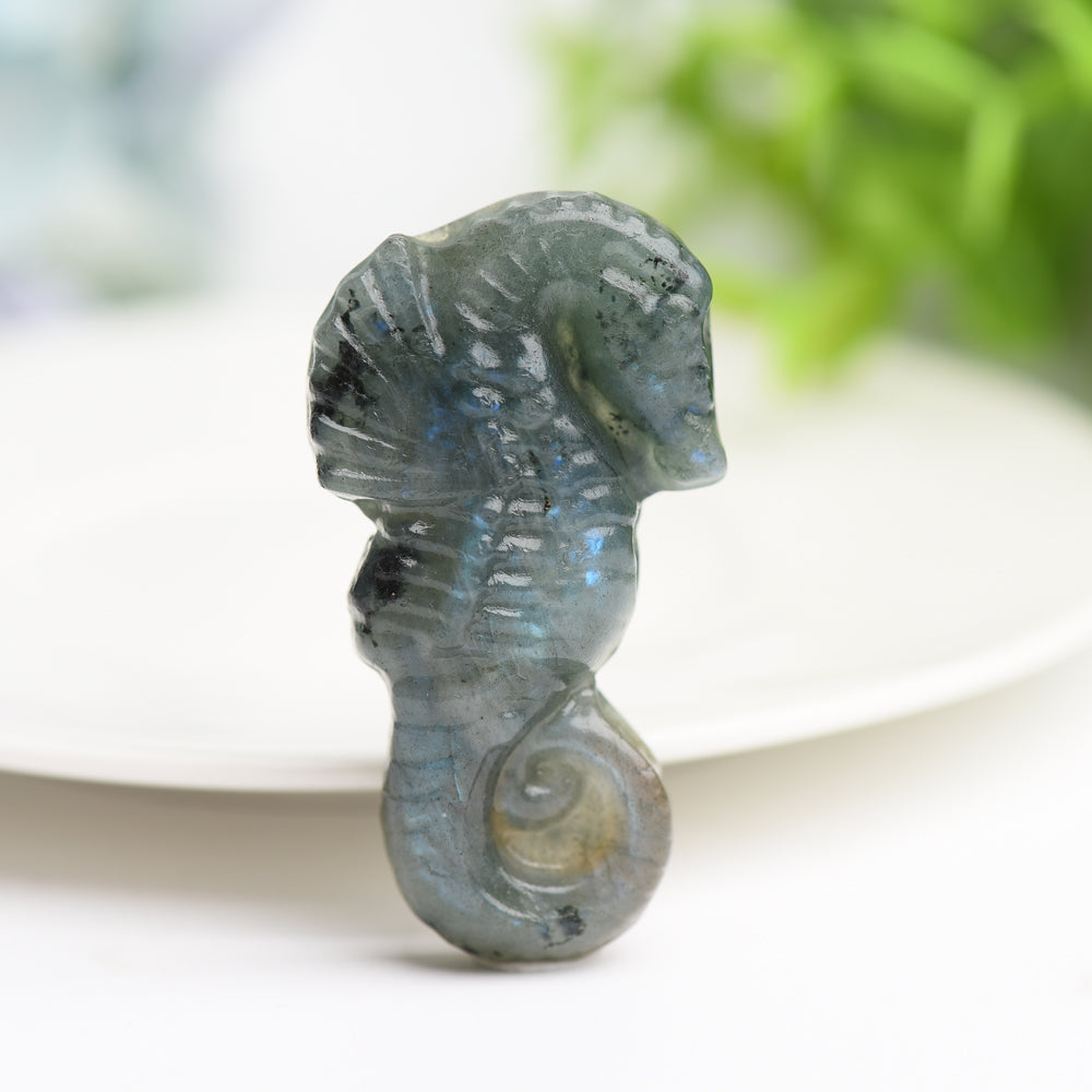 2.0" Labradorite Hippocampus Crystal Carving Bulk Wholesale  Crystals USA