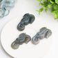 2.0" Labradorite Hippocampus Crystal Carving Bulk Wholesale  Crystals USA