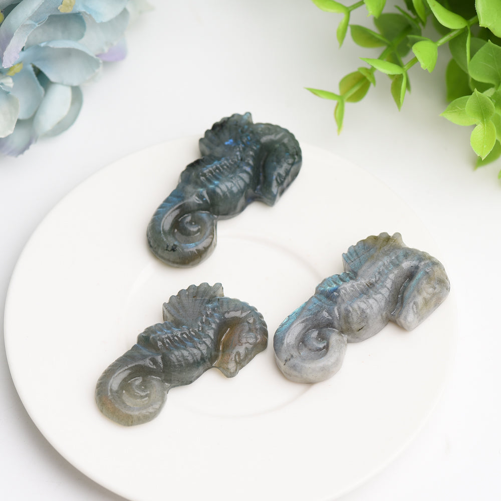 2.0" Labradorite Hippocampus Crystal Carving Bulk Wholesale  Crystals USA