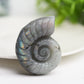 1.8" Mixed Crystal Shell Crystal Carving Bulk Wholesale  Crystals USA