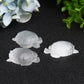 1.8" Selenite Turtle Crystal Carving Bulk Wholesale  Crystals USA