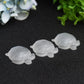 1.8" Selenite Turtle Crystal Carving Bulk Wholesale  Crystals USA