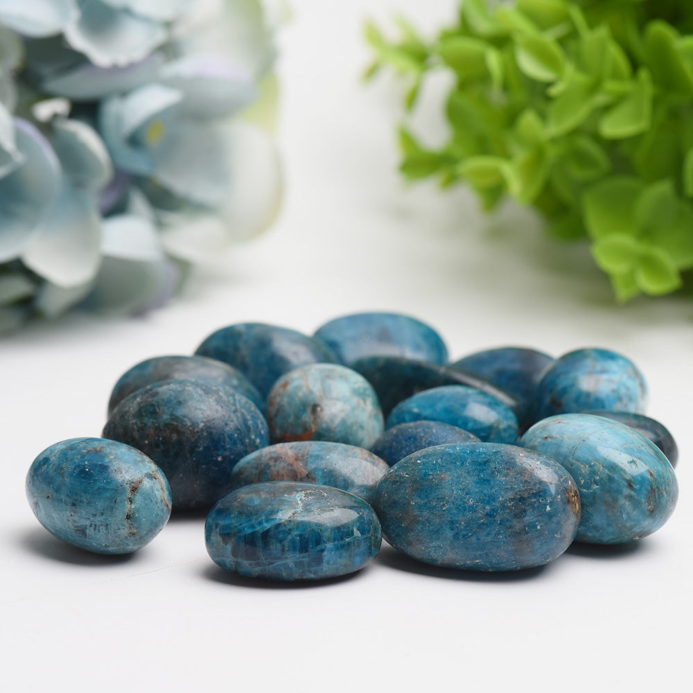 25-30mm Blue Appatite Crystal Tumbles Bag Bulk Wholesale Wholesale Crystals USA