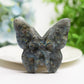 3.0" Labradorite & Golden Obsidian Butterfly Carving Bulk Wholesale  Crystals USA