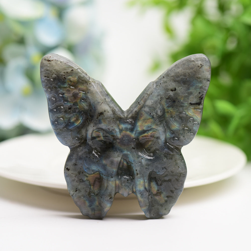 3.0" Labradorite & Golden Obsidian Butterfly Carving Bulk Wholesale  Crystals USA
