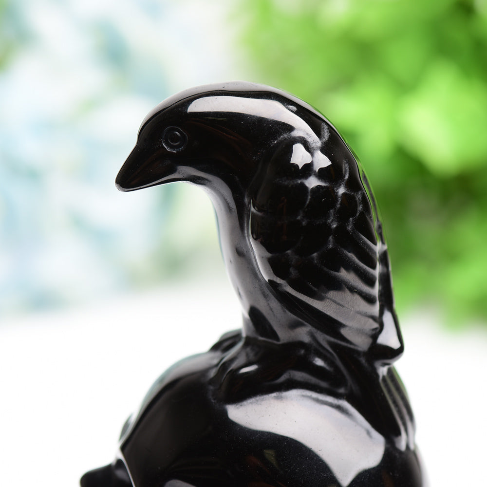 4.5" Black Obsidian Skull with Raven Decor for Halloween Wholesale Crystals USA