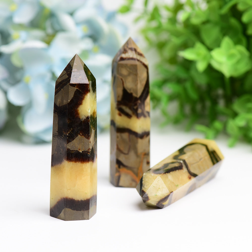2.5"-4.5" Septarium Crystal Point Wholesale Crystals USA