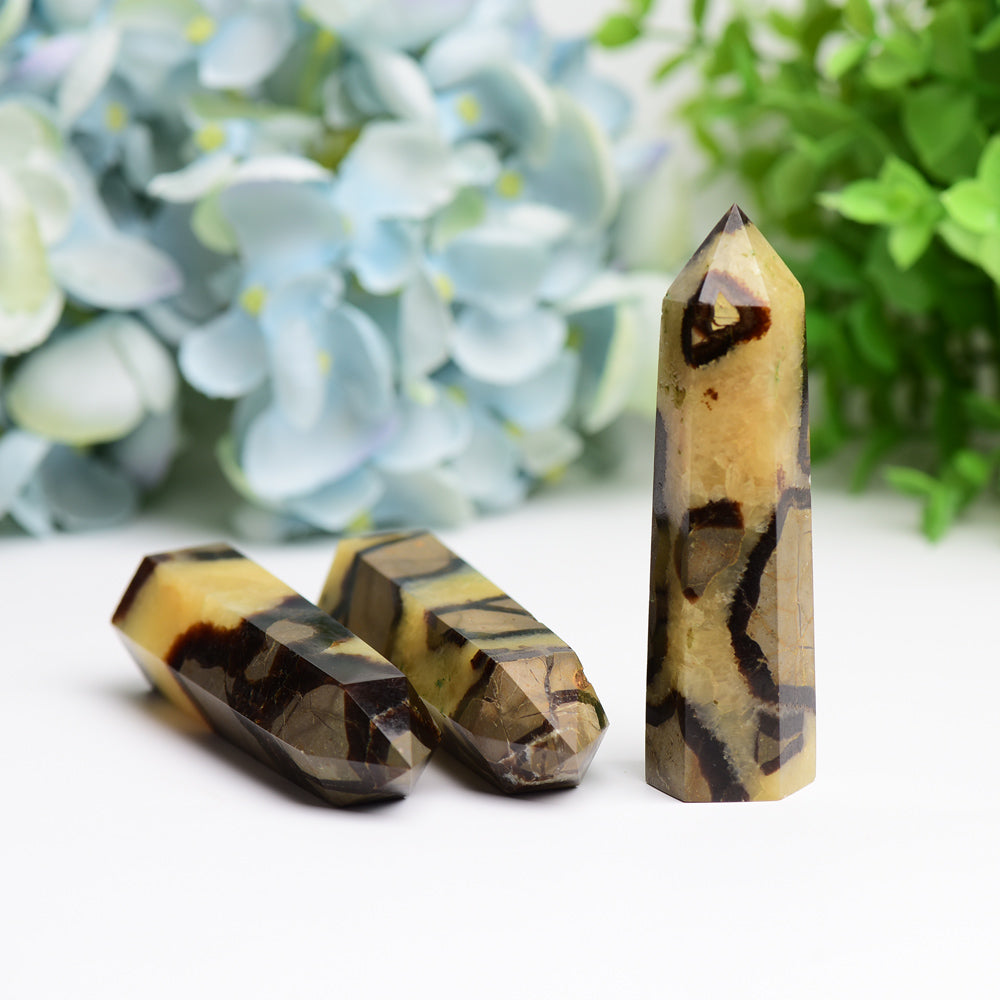 2.5"-4.5" Septarium Crystal Point Wholesale Crystals USA
