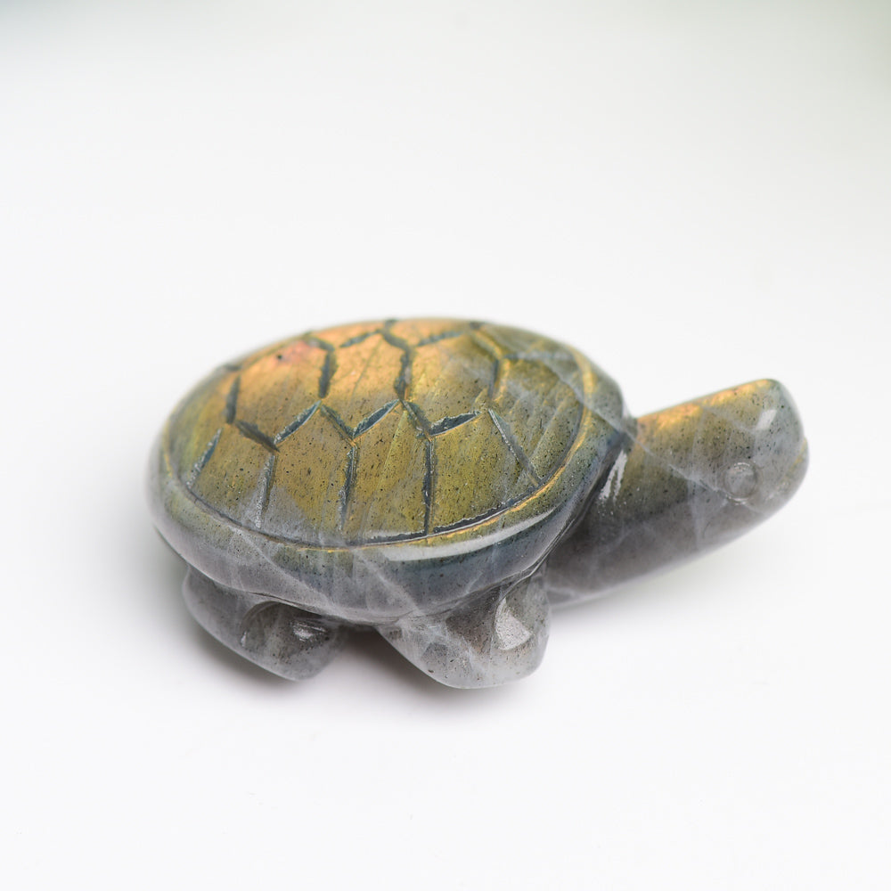 1.6" Labradorite Turtle Animal Crystal Carving Wholesale Crystals USA