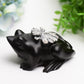 4.0" Ammonite Frog Crystal Carving Bulk Wholesale  Crystals USA