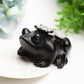 4.0" Ammonite Frog Crystal Carving Bulk Wholesale  Crystals USA
