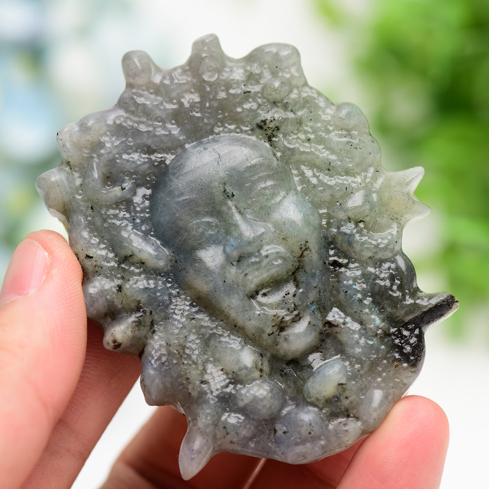 2.8"-3.3" Labradorite Golden Obsidian Medusa Carving Bulk Wholesale  Crystals USA