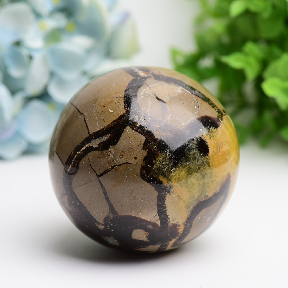 2.0"-3.2" Septarium Crystal Sphere Wholesale Crystals USA