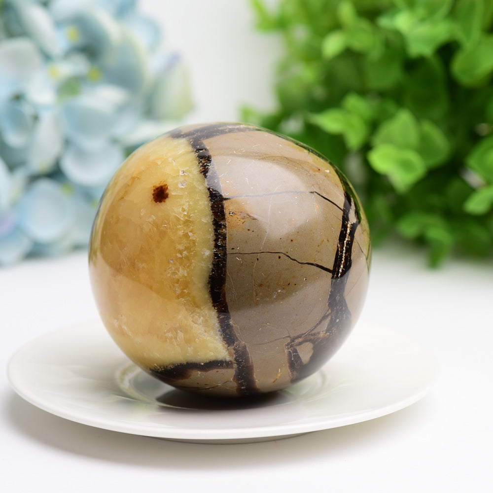 2.0"-3.2" Septarium Crystal Sphere Wholesale Crystals USA