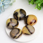 1.5"-2.0" Septarium Palm Stone Wholesale Crystals USA