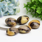 1.5"-2.0" Septarium Palm Stone Wholesale Crystals USA