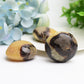 1.5"-2.0" Septarium Palm Stone Wholesale Crystals USA