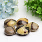1.5"-2.0" Septarium Palm Stone Wholesale Crystals USA
