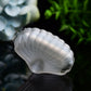 2.7" Selenite Shell Shape Carving Bulk Wholesale Wholesale Crystals USA