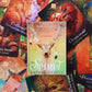 The Spirit Animal Oracle Cards Bulk Wholesale  Crystals USA