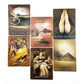 Past Life Tarot Card Bulk Wholesale  Crystals USA