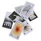 The Wild Unkown Tarot Bulk Wholesale  Crystals USA