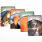 Earth Matic Tarot Card Bulk Wholesale  Crystals USA