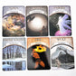 Earth Matic Tarot Card Bulk Wholesale  Crystals USA