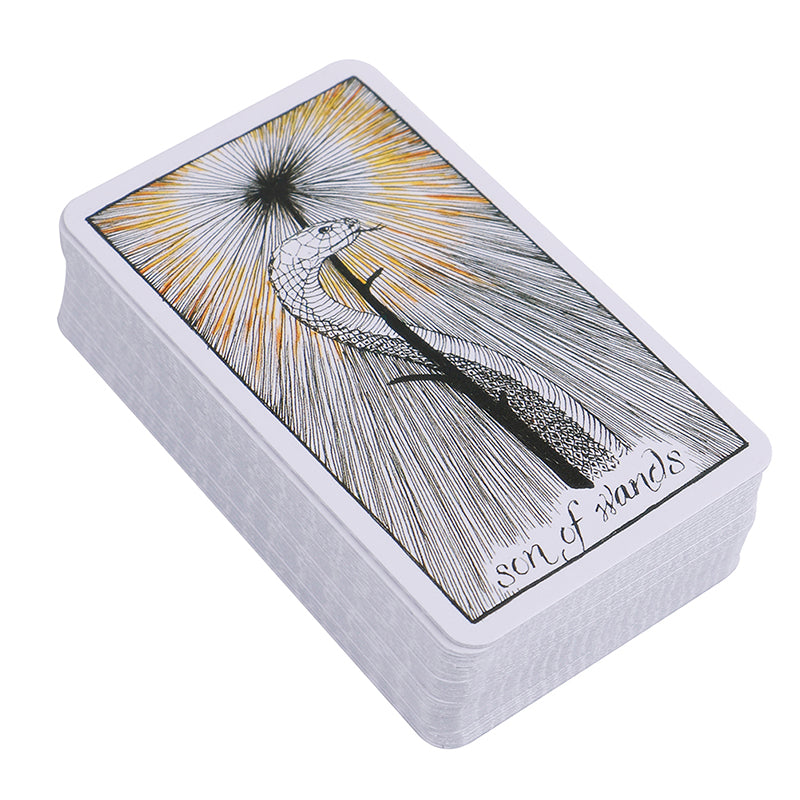 The Wild Unkown Tarot Bulk Wholesale  Crystals USA