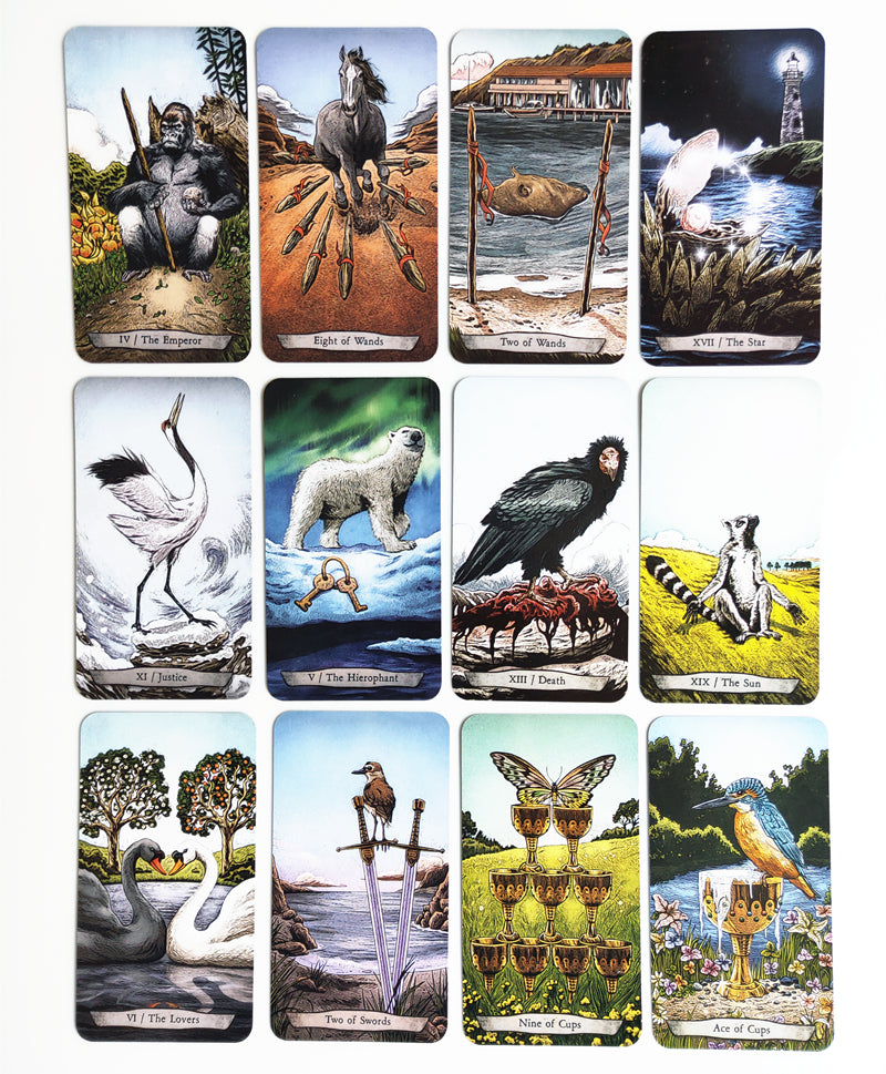 Animal Totem Tarot Bulk Wholesale  Crystals USA