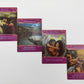Romance Tarot Card Bulk Wholesale  Crystals USA