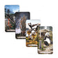 Animal Totem Tarot Bulk Wholesale  Crystals USA