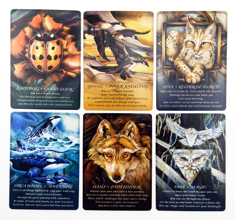 Spirit of Animal Tarot Cards Bulk Wholesale  Crystals USA