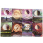 Moonology Manifestation Oracle Cards Bulk Wholesale  Crystals USA