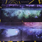 The Lost Forest Tarot Bulk Wholesale  Crystals USA