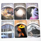 Earth Magic Tarot Card Bulk Wholesale  Crystals USA