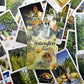 The Herbcratties Tarot Cards Bulk Wholesale  Crystals USA