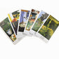 The Herbcratties Tarot Cards Bulk Wholesale  Crystals USA