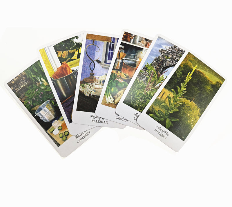 The Herbcratties Tarot Cards Bulk Wholesale  Crystals USA