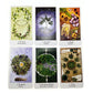 The Herbcratties Tarot Cards Bulk Wholesale  Crystals USA