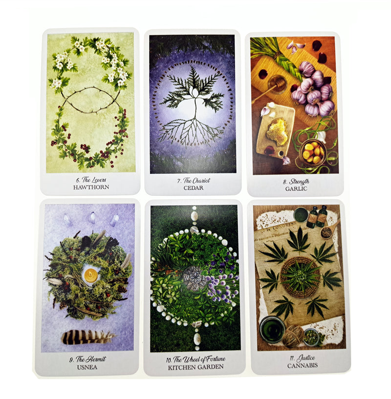 The Herbcratties Tarot Cards Bulk Wholesale  Crystals USA