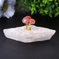 4" Selenite Base with Carnelian Decoration Free Form