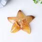 3.0"-3.5" Druzy Agate Starfish Crystal Carvings Wholesale Crystals USA
