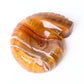 Unique Fluorite Snail Shell Shape Crystal Carving Free Form Wholesale Crystals USA