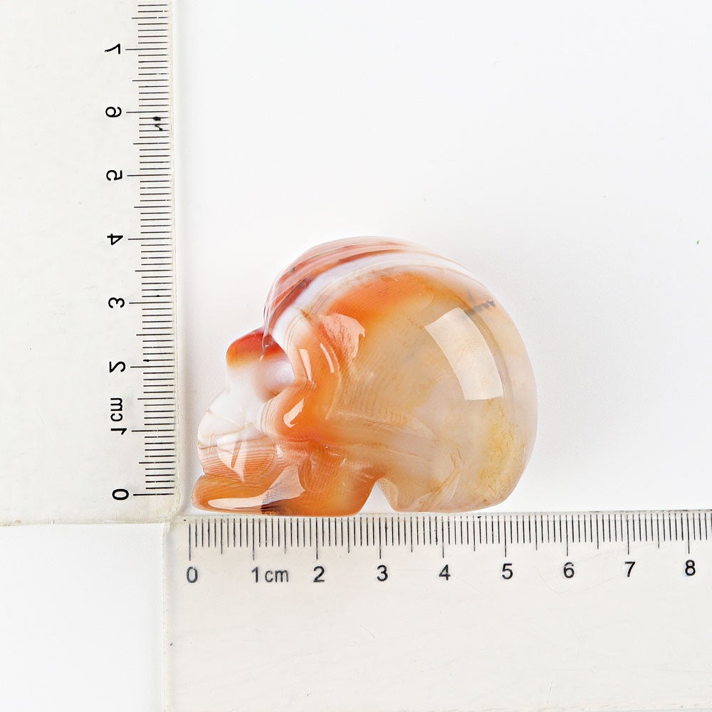 2" Sardonyx Skull Crystal Carvings Wholesale Crystals USA