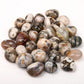 0.1kg Ocean Jasper Tumbles Wholesale Crystals USA