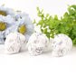 2" Howlite Skull Crystal Carvings Wholesale Crystals USA