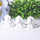 2.5"  Howlite Ghost Dog Crystal Carvings Wholesale Crystals USA