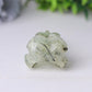 3.5" Natural Prehnite Crow Skull Head Healing Carving Epidote Wholesale Crystals USA