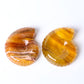 Unique Fluorite Snail Shell Shape Crystal Carving Free Form Wholesale Crystals USA